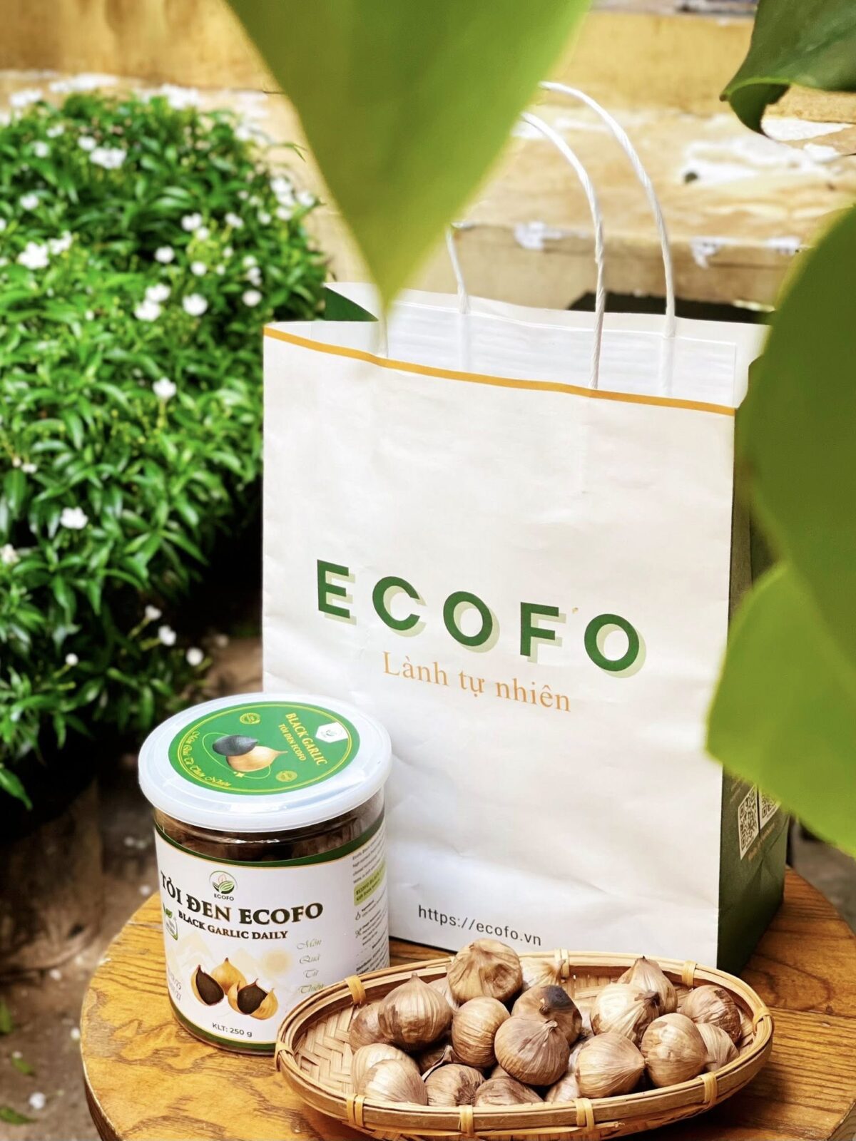 Tỏi đen ECOFO